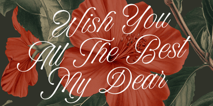 Winter Rhapsody Font Poster 2