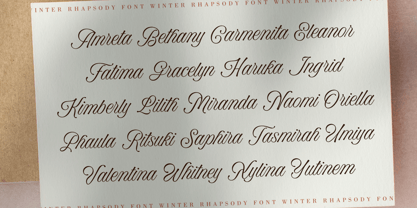 Winter Rhapsody Font Poster 4