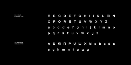 Nevola Font Poster 4