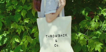 The Throwback Font Poster 3