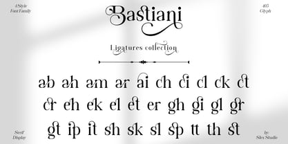 Bastiani Modern Font Poster 10