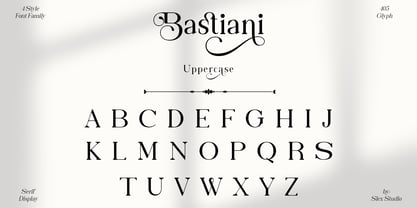 Bastiani Modern Font Poster 8