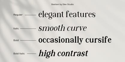 Bastiani Modern Font Poster 6