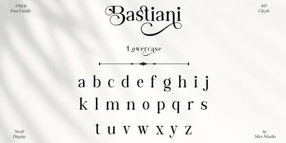 Bastiani Modern Font Poster 9