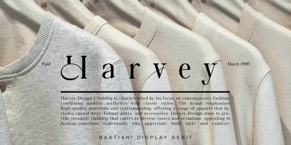 Bastiani Modern Font Poster 3