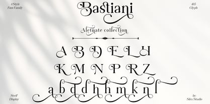 Bastiani Modern Font Poster 11