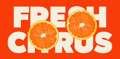 Atelia Font Poster 4