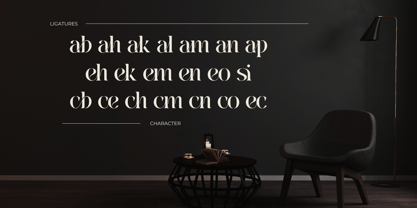 Mabeo Vintage Font Poster 7