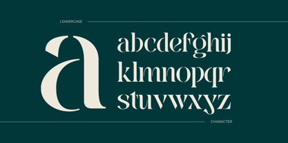 Mabeo Vintage Font Poster 5