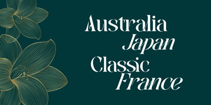 Mabeo Vintage Font Poster 9