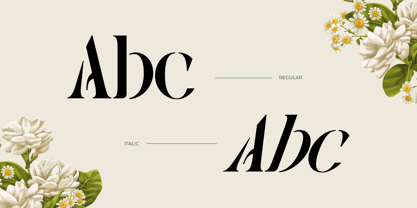 Mabeo Vintage Font Poster 6