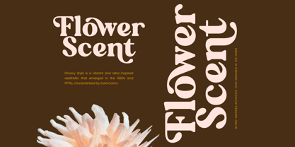 Regina Morise Font Poster 13