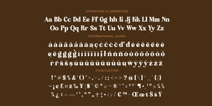 Regina Morise Font Poster 15