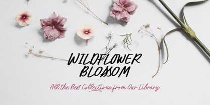 Twisted Author Font Poster 2