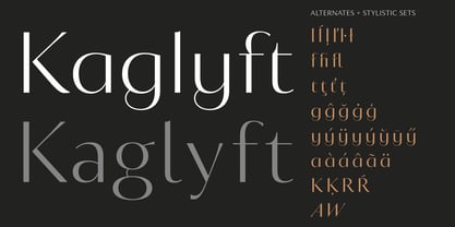 Circe Contrast Font Poster 14