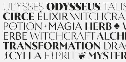 Circe Contrast Font Poster 2