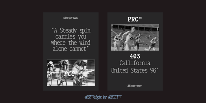 403 Felgrit Font Poster 14