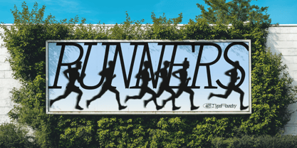 403 Felgrit Font Poster 15