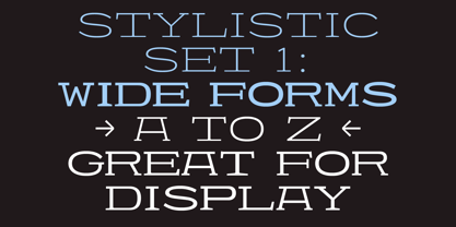 403 Felgrit Font Poster 6