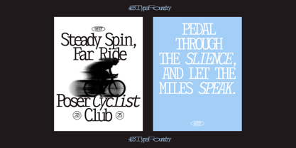 403 Felgrit Font Poster 10