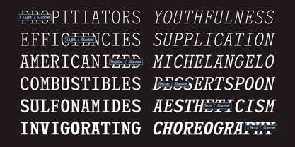 403 Felgrit Font Poster 7