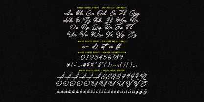 MC Mavoc Goated Font Poster 8