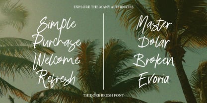Thidore Brush Font Poster 2