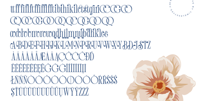 Salgirfen Font Poster 15