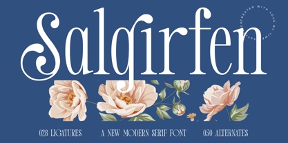 Salgirfen Font Poster 1