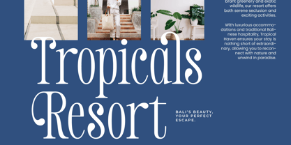 Salgirfen Font Poster 11