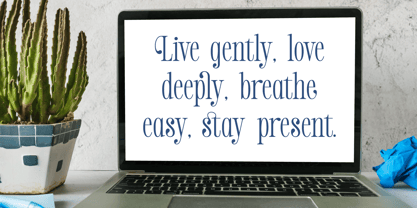 Salgirfen Font Poster 10