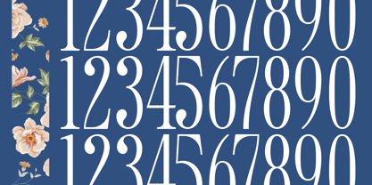 Salgirfen Font Poster 13