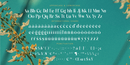Dudga Baloval Font Poster 15