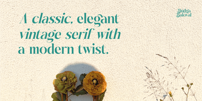Dudga Baloval Font Poster 4