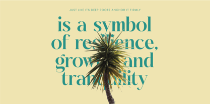 Dudga Baloval Font Poster 12