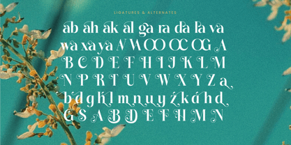 Dudga Baloval Font Poster 14