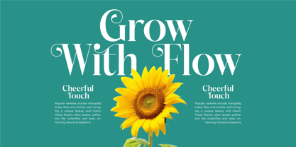 Dudga Baloval Font Poster 3