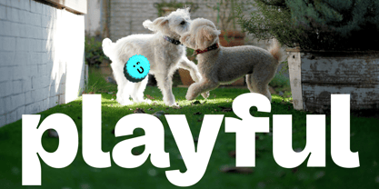 Friendful Font Poster 4