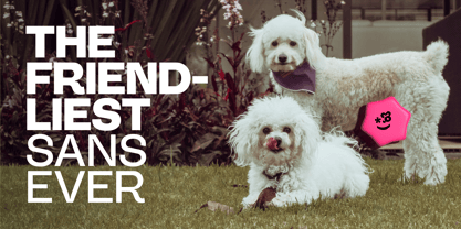 Friendful Font Poster 2