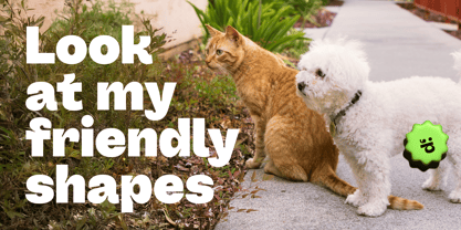 Friendful Font Poster 7