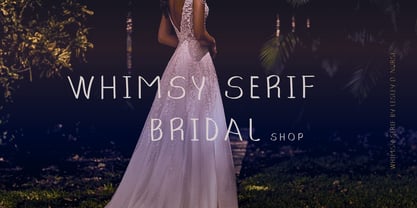 Whimsy Serif Font Poster 5