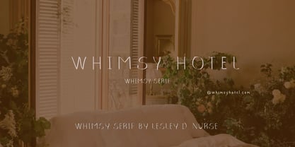 Whimsy Serif Font Poster 6