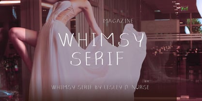 Whimsy Serif Font Poster 4