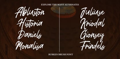 Burken Brush Font Poster 5