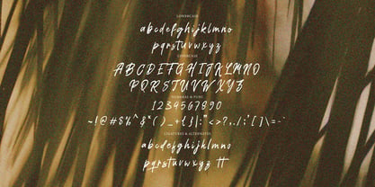 Burken Brush Font Poster 8