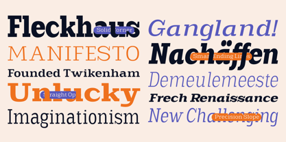 Scolver Font Poster 3