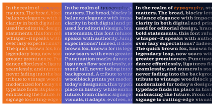 Scolver Font Poster 11