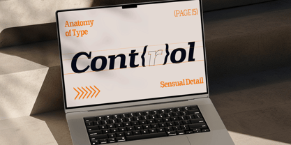 Scolver Font Poster 15