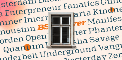 Scolver Font Poster 8