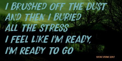 Brush Aside Font Poster 5